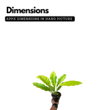 Philodendron Golden Narrow /Philodendron Golden serratum - Live Plant (Home & Garden)