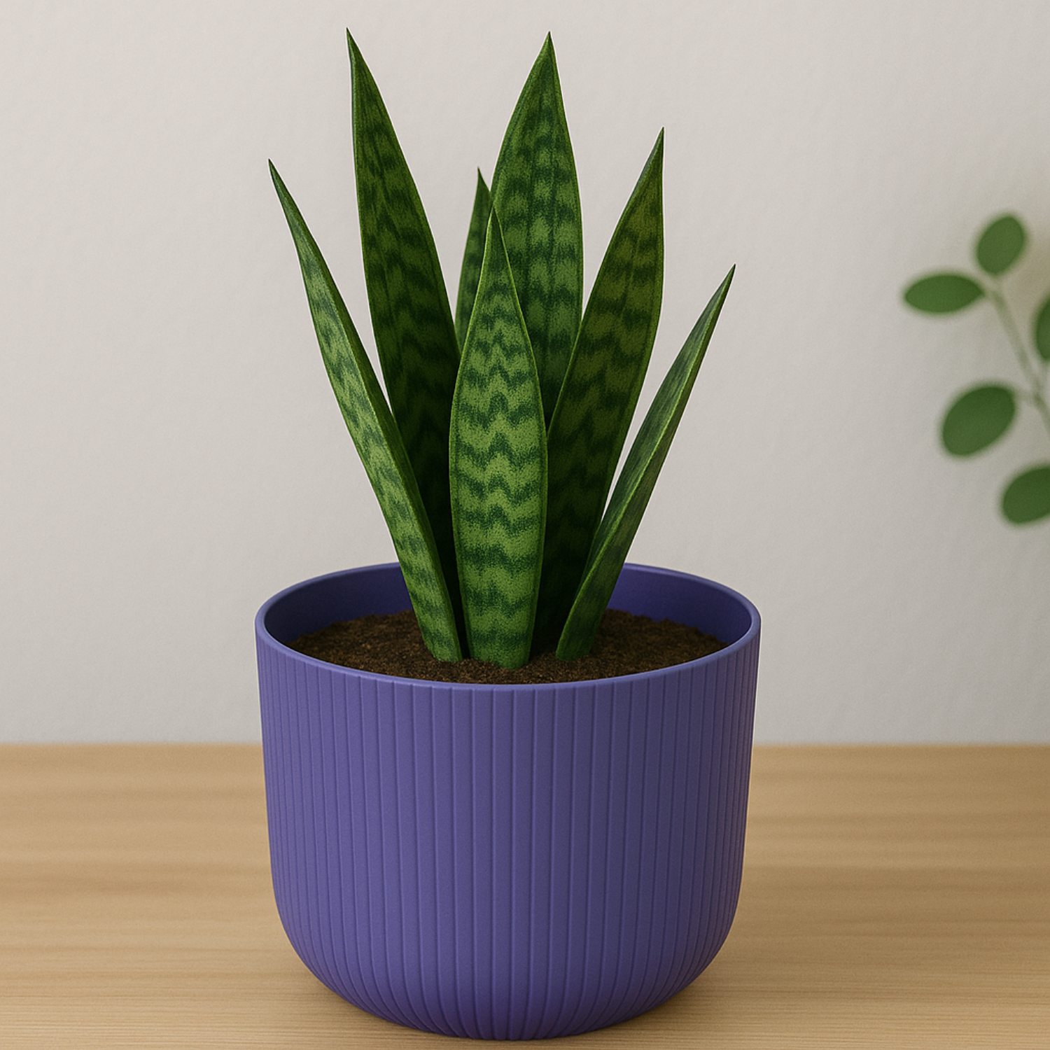 Hug a plant Ebizia Plastic Pot  for Home & Garden (Pack of 1)