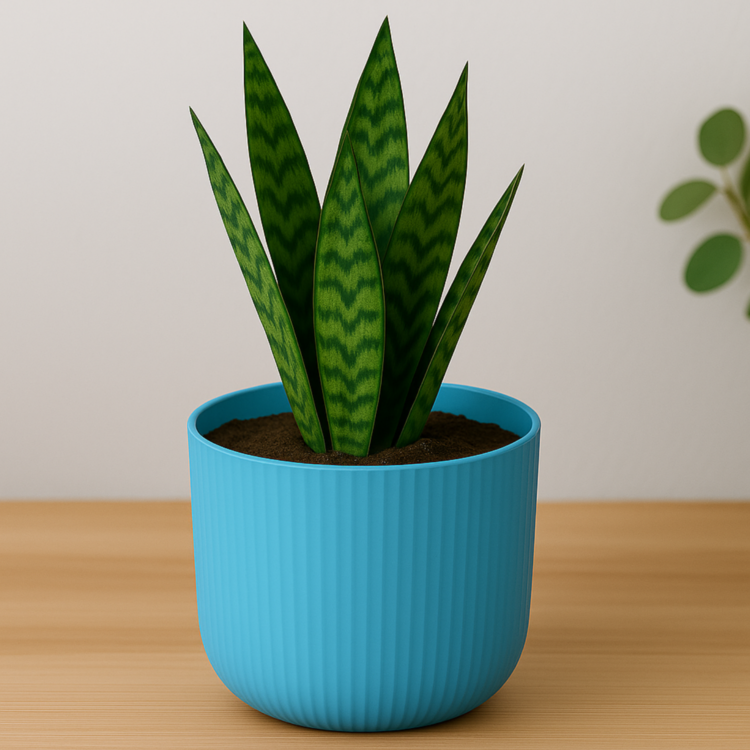 Hug a plant Ebizia Plastic Pot  for Home & Garden (Pack of 1)