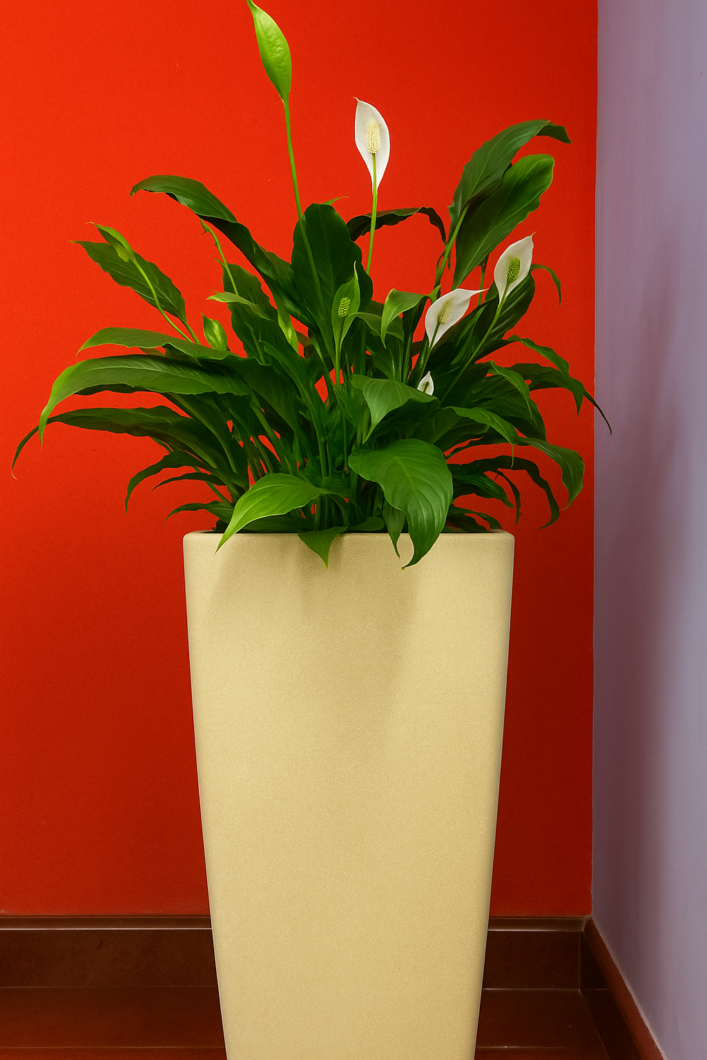 Hug A Plant | Peace Lily in Paris 30CM Rotomolded Square Plastic Pot with Inner for Home & Garden (33CM | 11.8 INCH, Square, Cream Stone Finish) – Indoor Air Purifying Plant (Premium Decorative Pot)