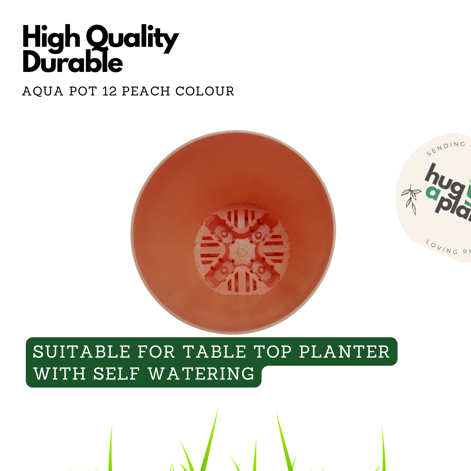 Hug A Plant | Smart Aqua for Home & Garden