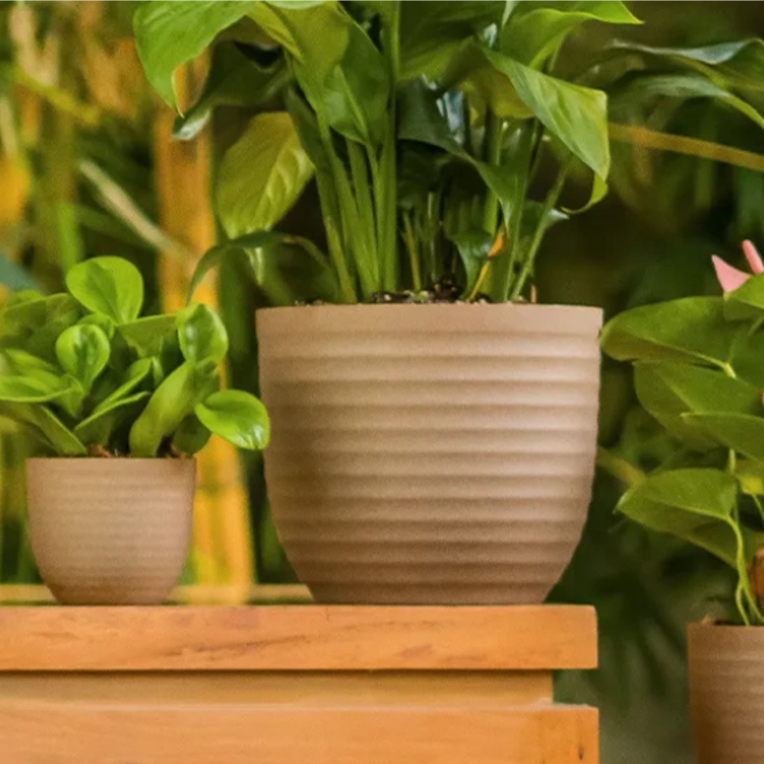 Verona Eco 14cm Round Plastic Pot For Home & Garden (14CM | 5INCH)