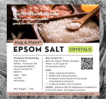 is epsom salt good for indoor plants Hug A Plant Epsom Salt