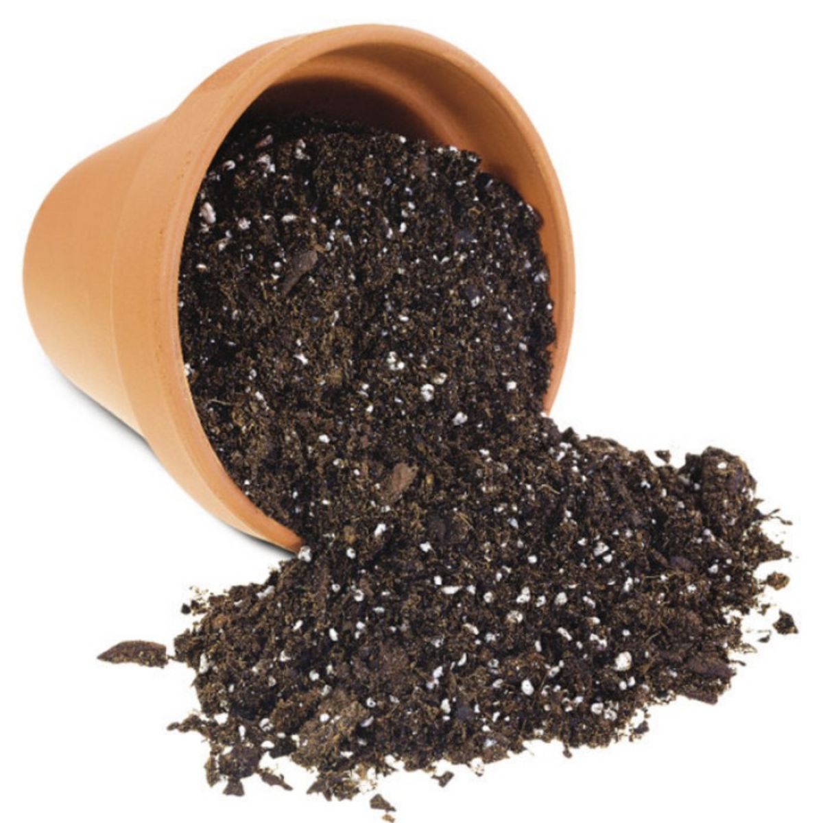 Hug A Plant : Indoor Potting Mixture For Plants (Specially for Indoor Plants)