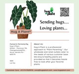 Hug A Plant NPK Granules Premium Fertilizer (1Kg) (12:11:18)
