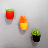 Valencia Magnet Small Plastic Pot to Create Vibrant  Spaces