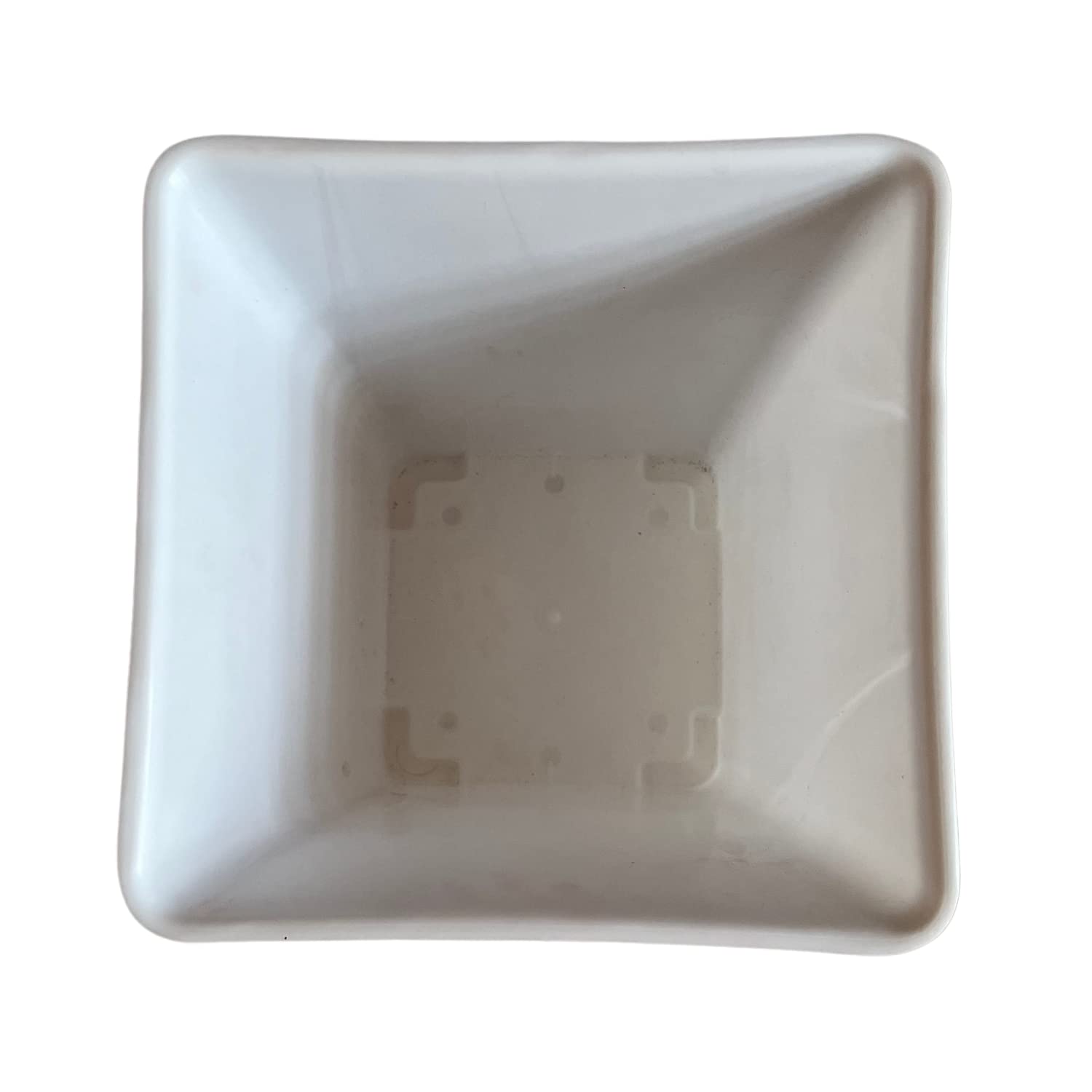 Hug A Plant | Hot Square Plastic Pot for Home & Garden (22CM | 9INCH)