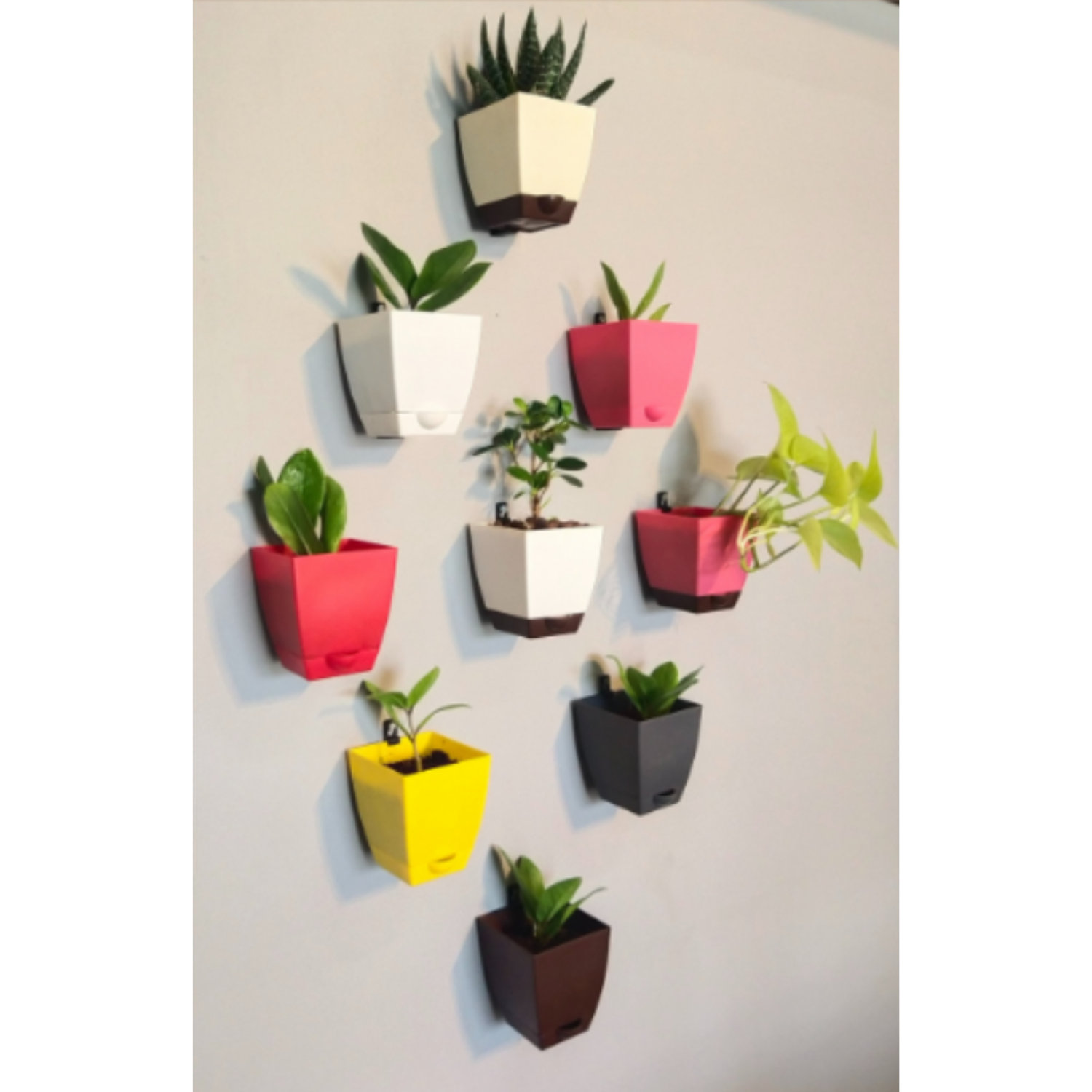 Hug A Plant|Chatura 8cm Self Watering Square Pot with Nail Hook for Home & Garden Decor (8CM|3.4INCH)