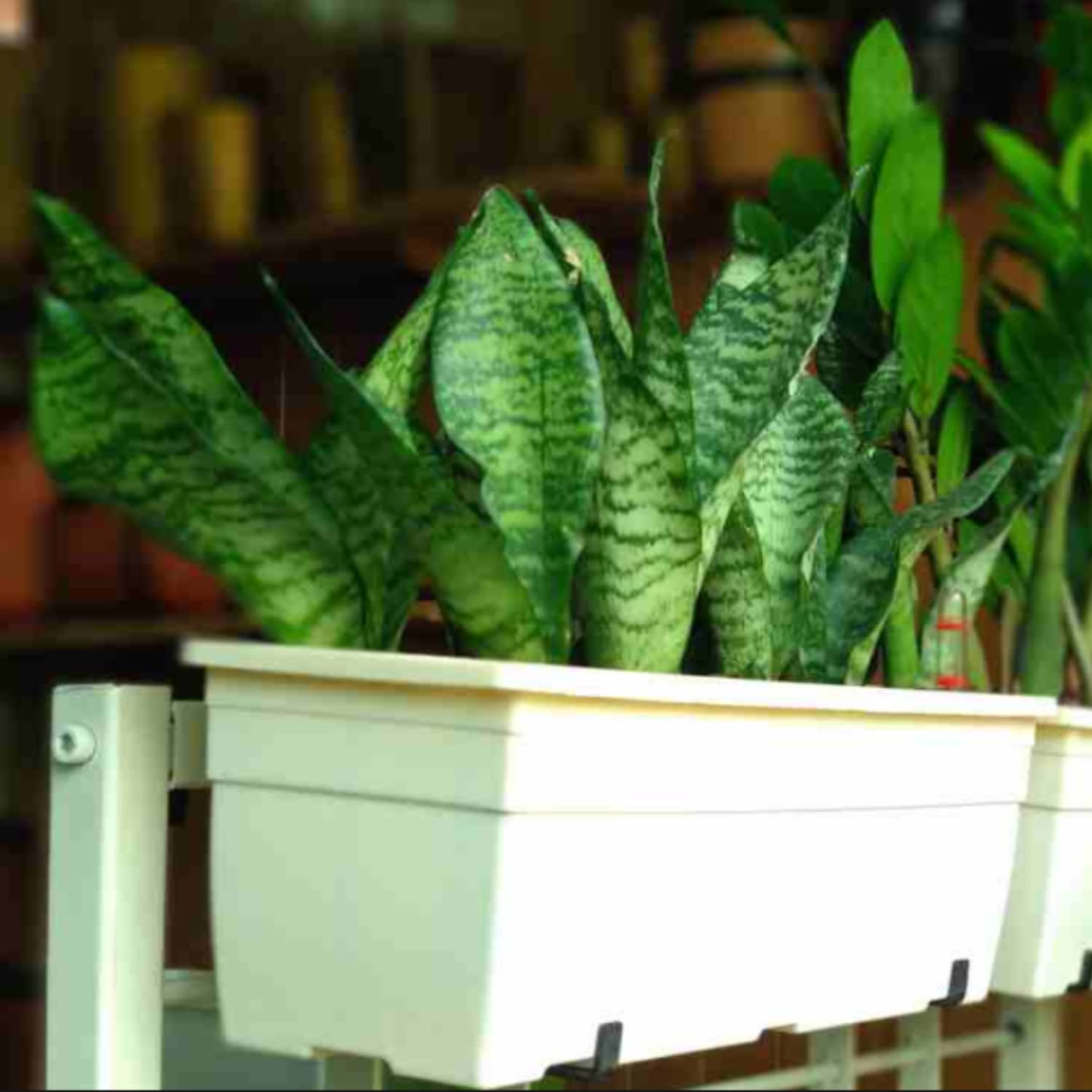 Hug A Plant | Reca 40cm Rectangle Window Planter | Pot for Home & Garden (40CM | 15.7 INCH, Grill Mount, Rail Mount, Black)