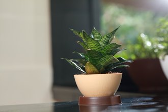 Ara 16 Plastic Pot With Smart Tray