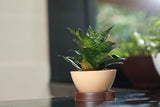 Ara 16 Plastic Pot With Smart Tray