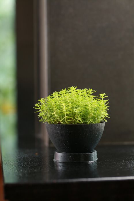 Ara 16 Plastic Pot With Smart Tray