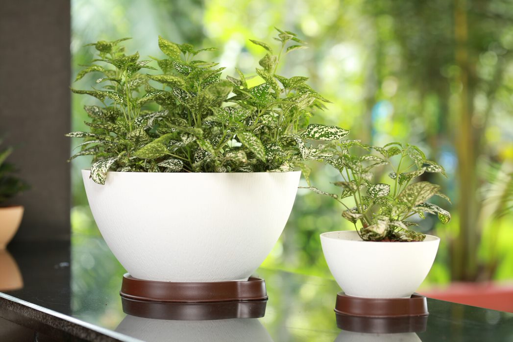 Ara 16 Plastic Pot With Smart Tray