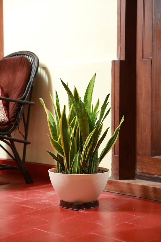 Ara 32 Plastic Pot With Smart Tray