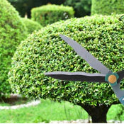 GARDEN BIG SCISSOR