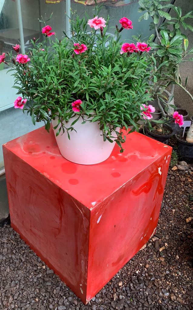 Ronda 2320 Round Plastic Pot With Self-Watering Kit