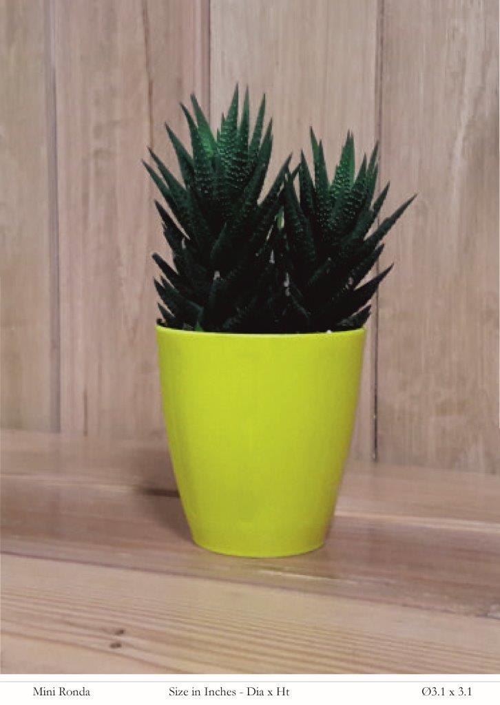 Mini Ronda Plastic Pot