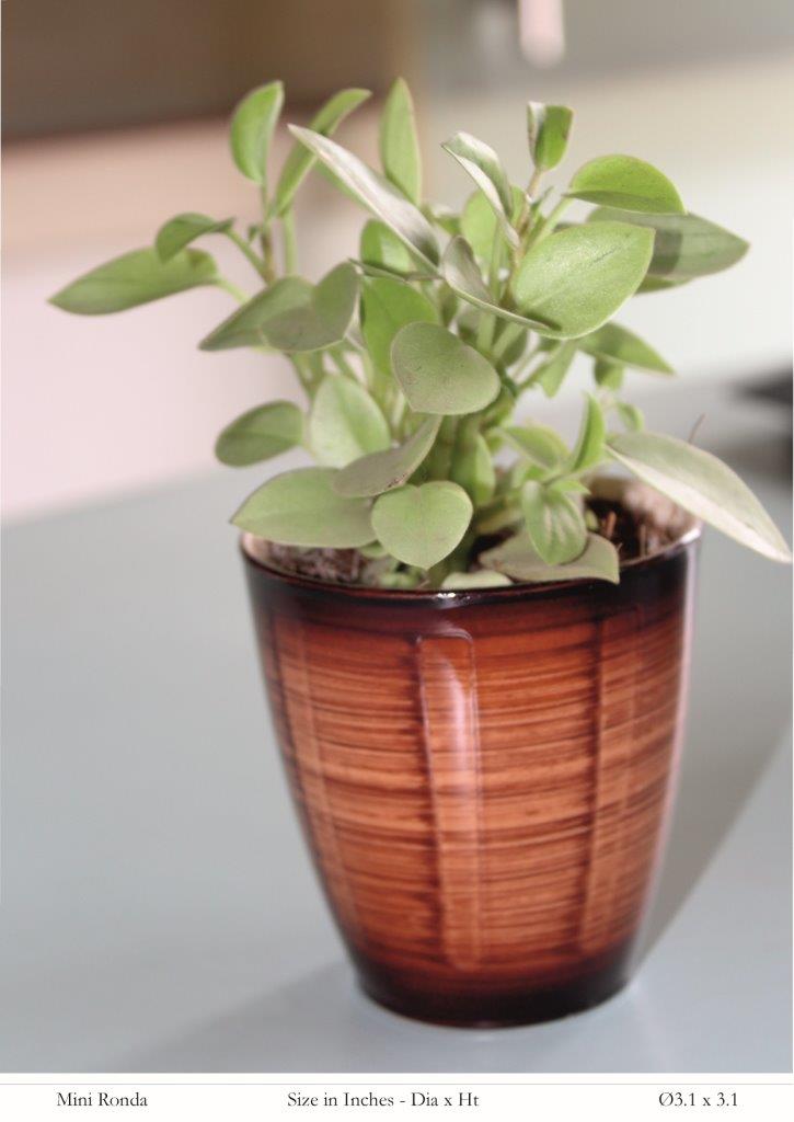 Mini Ronda Ceramic Finish Plastic Pot
