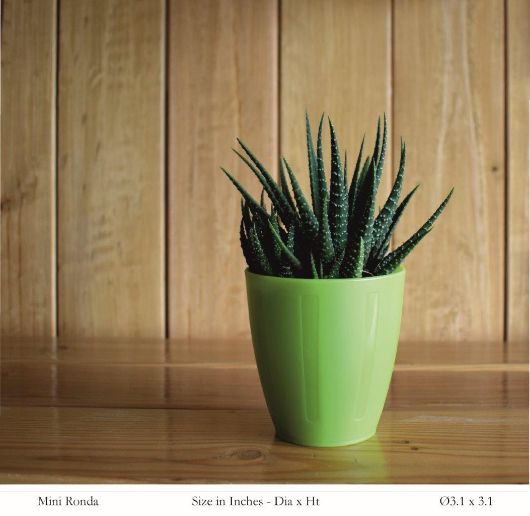 Mini Ronda Plastic Pot