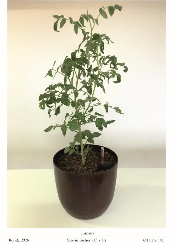 Ronda 2926 Round Plastic Pot With Self Watering Kit