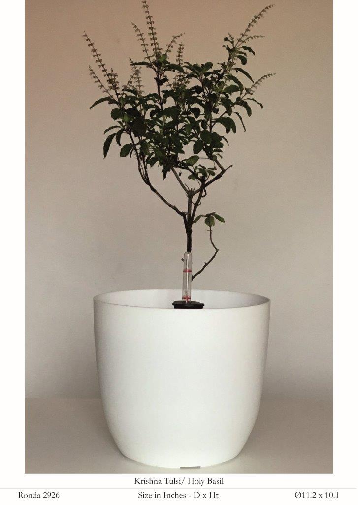 Ronda 2926 Round Plastic Pot With Self Watering Kit