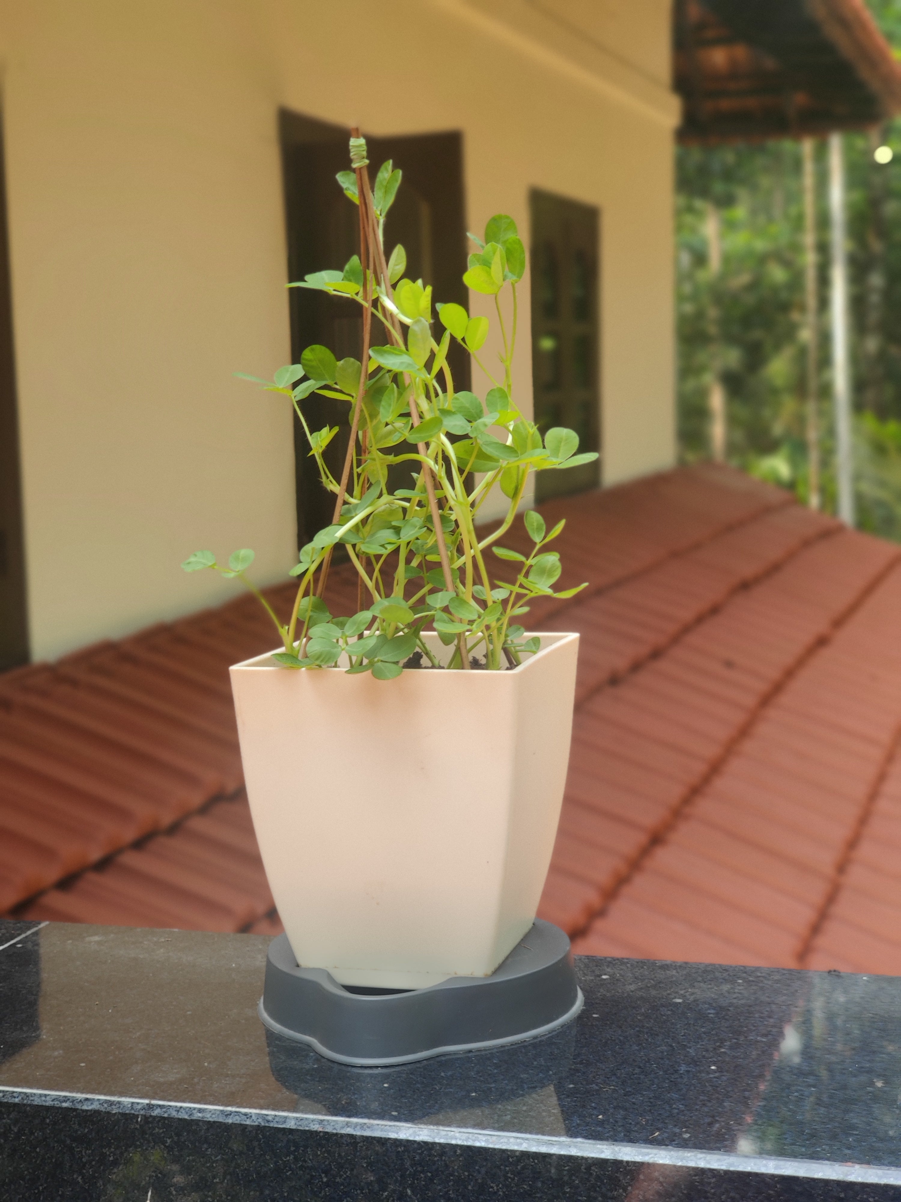 Chatura Smart Tray