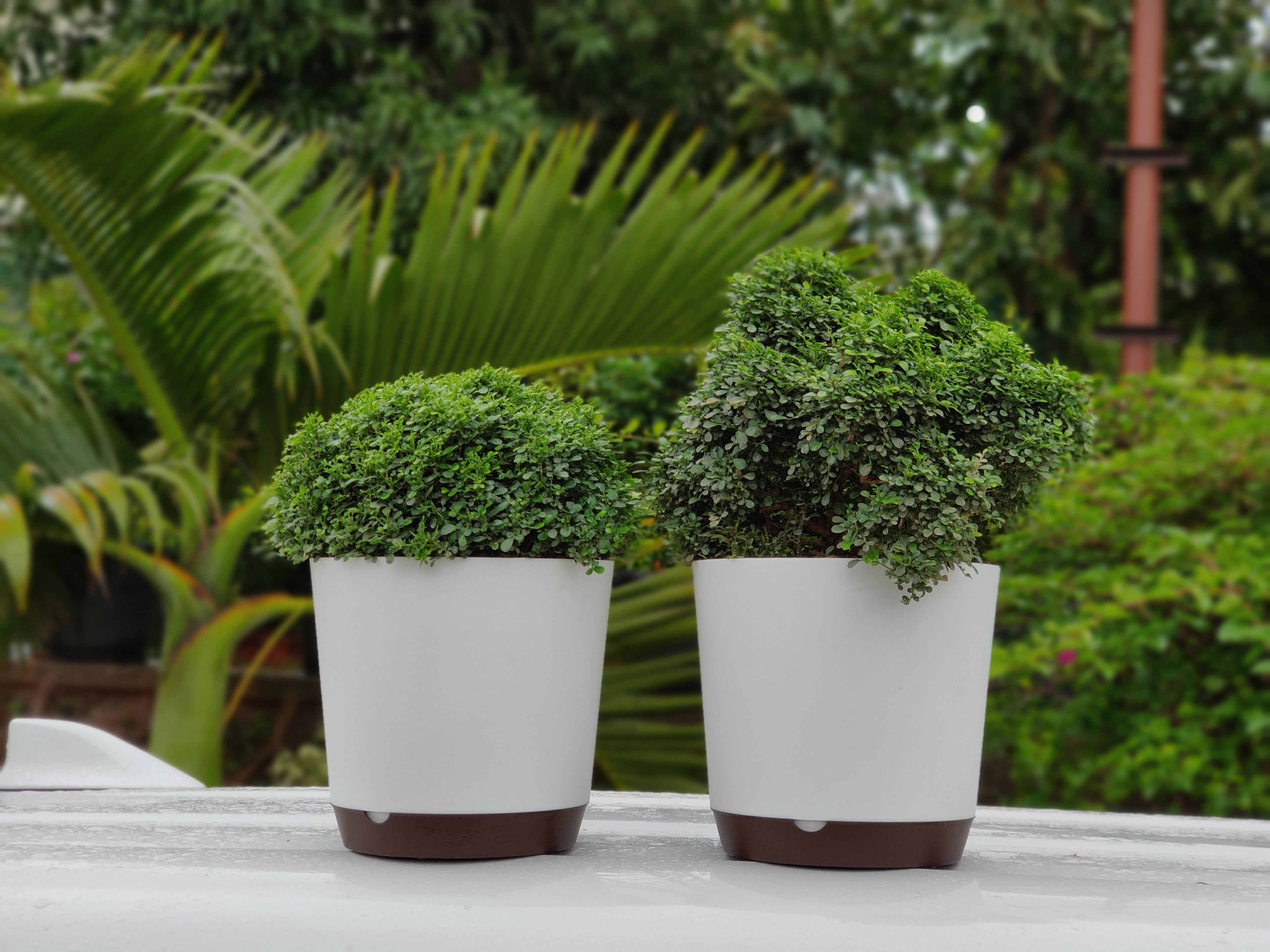 Krish 18 Self Watering Plastic Pot