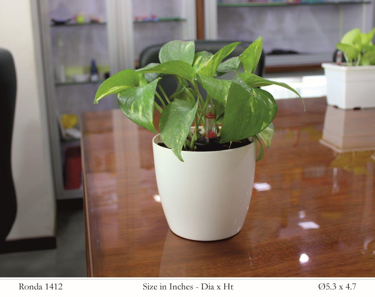 Ronda 1412 Round Plastic Pot With Self-Watering Kit