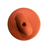 Terracotta Ranthal