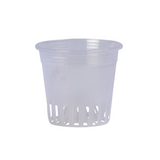 Orchid Plastic Pot