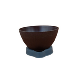 Ara 16 Plastic Pot With Smart Tray